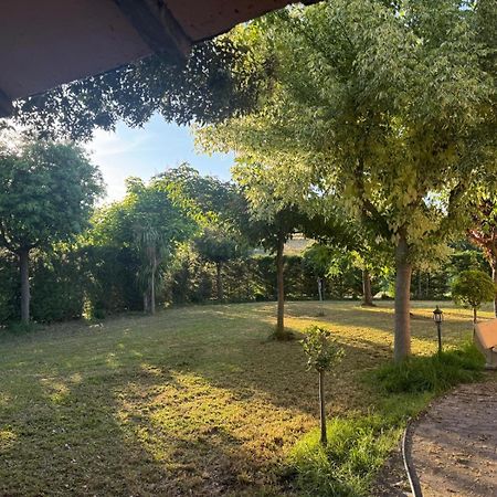 Appartamento Antonia House Rosignano Marittimo Esterno foto
