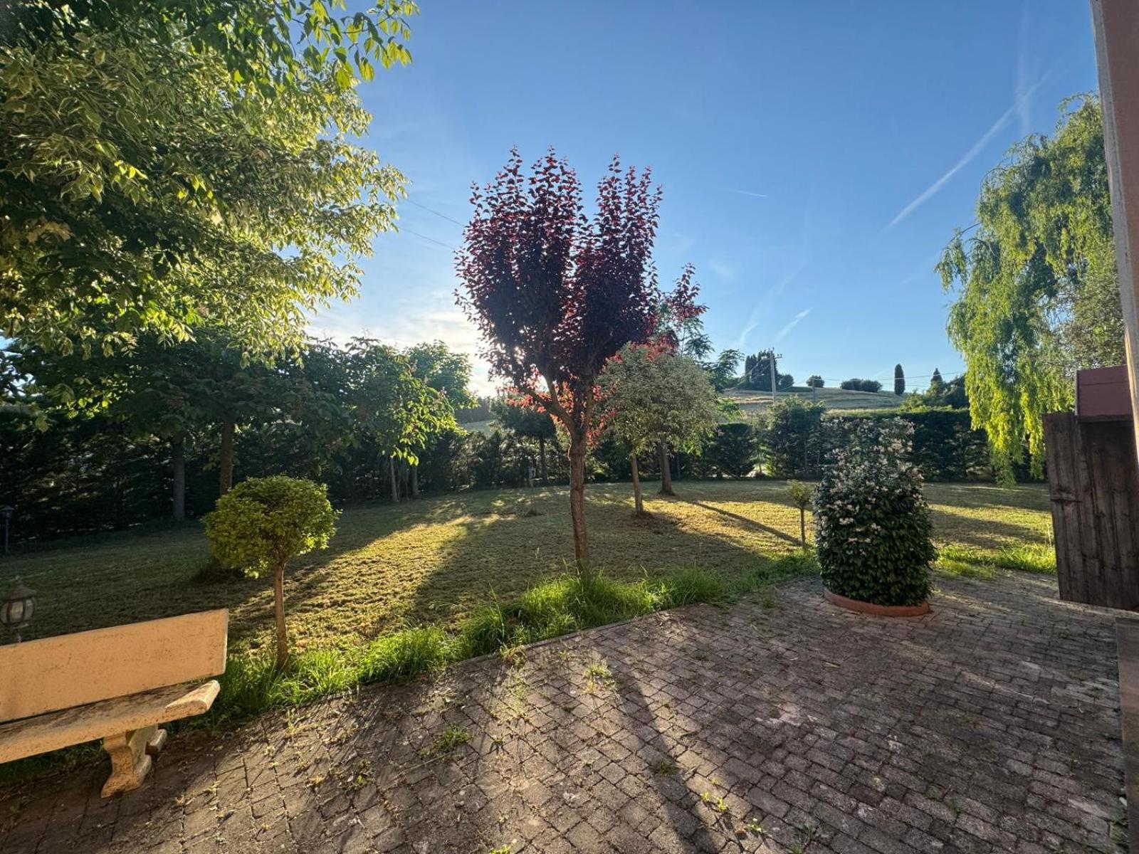 Appartamento Antonia House Rosignano Marittimo Esterno foto